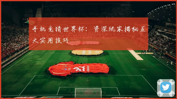 手机竞猜世界杯：资深玩家揭秘五大实用技巧