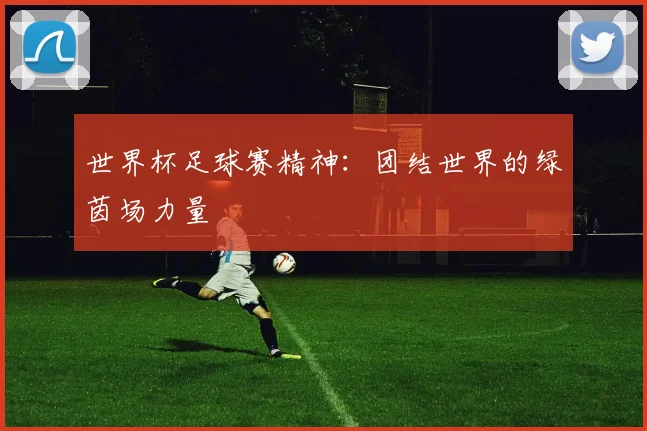 世界杯足球赛精神：团结世界的绿茵场力量