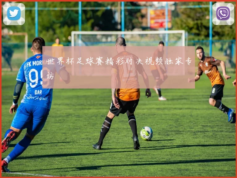 世界杯足球赛精彩对决视频独家专访