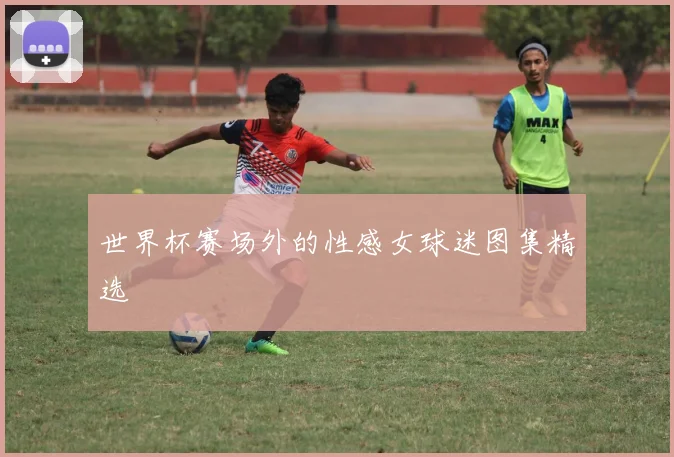 世界杯赛场外的性感女球迷图集精选