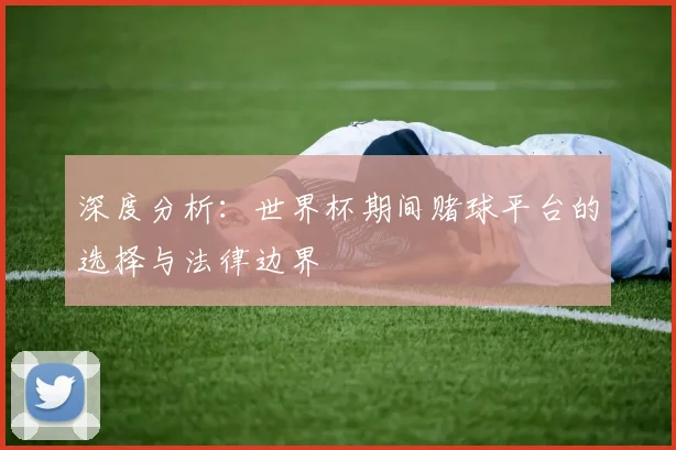 深度分析：世界杯期间赌球平台的选择与法律边界