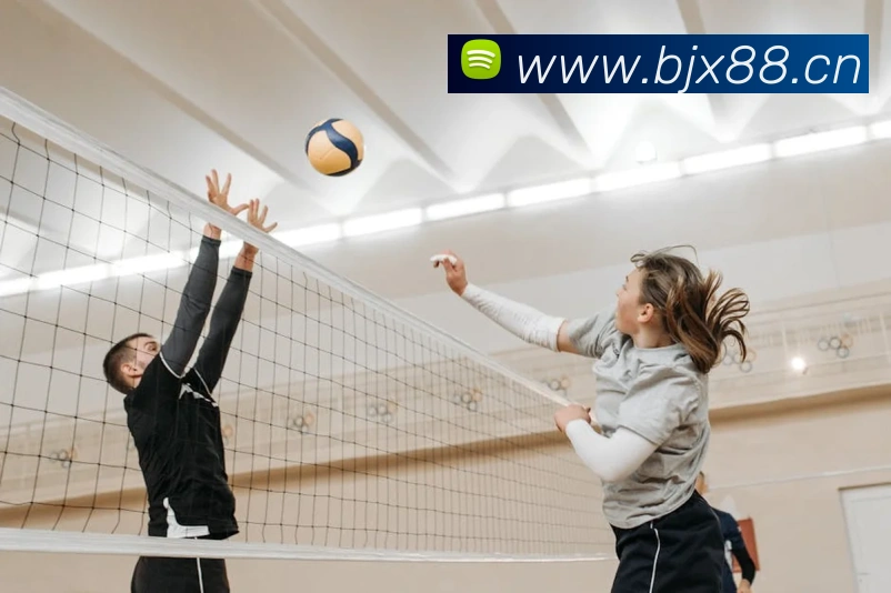 App Interface Preview