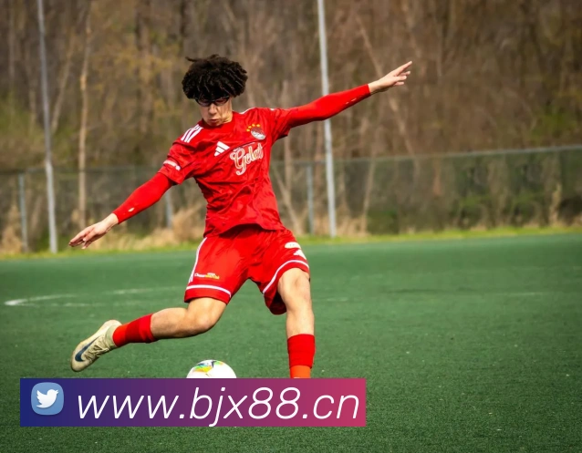 博盈体育app官网APP 封面图